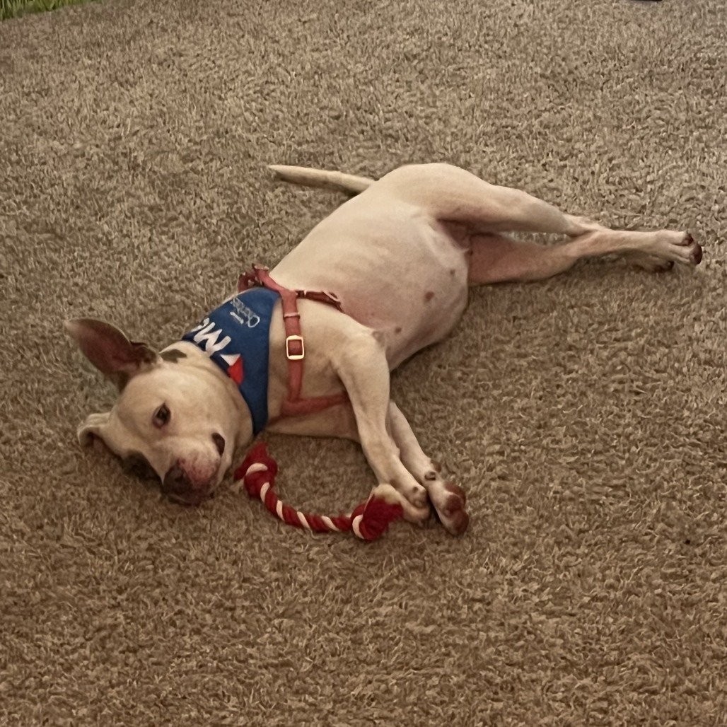 Missy photo 11