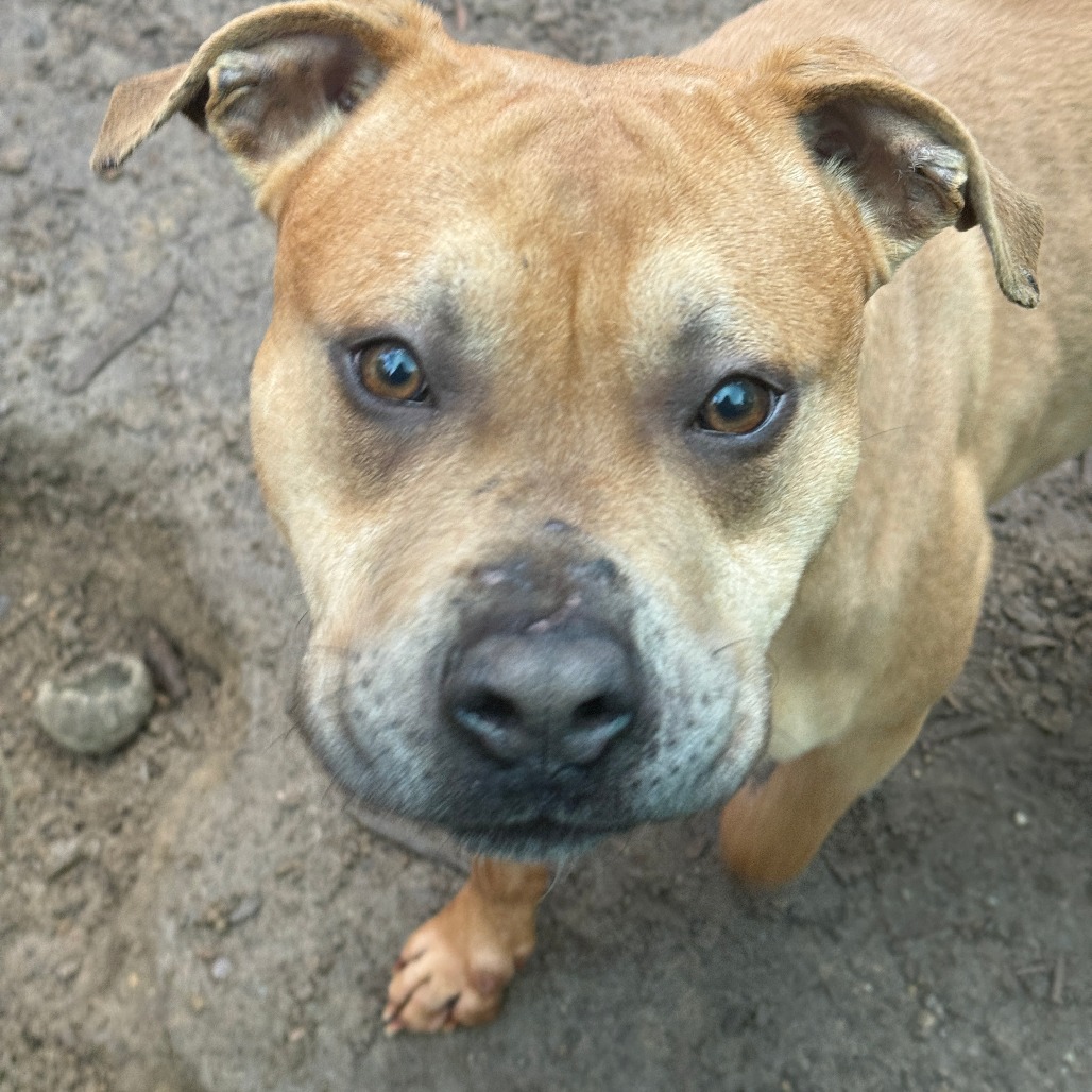 Lemmy — thumbnail 2