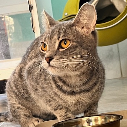 Dora — thumbnail 4