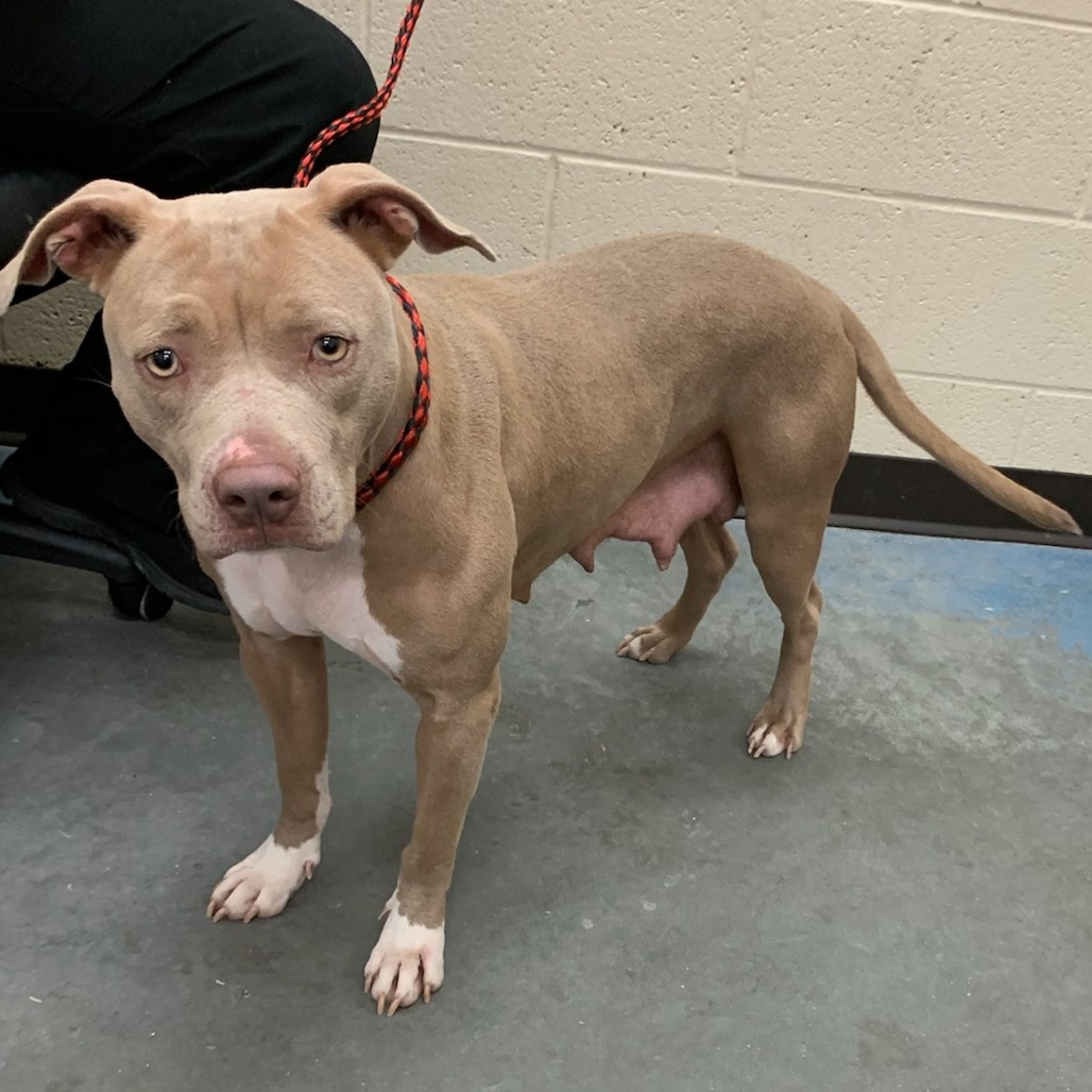 CASSIDY — thumbnail 2