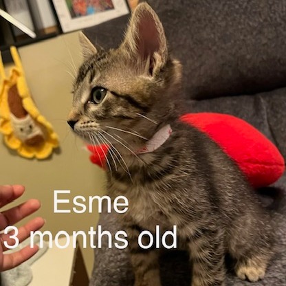 Esme C12415