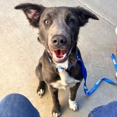 Kennel#19 Frances's preview photo