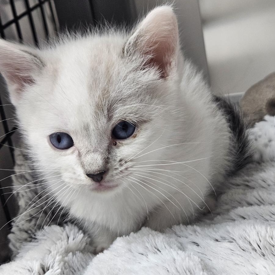 A#122a's preview photo