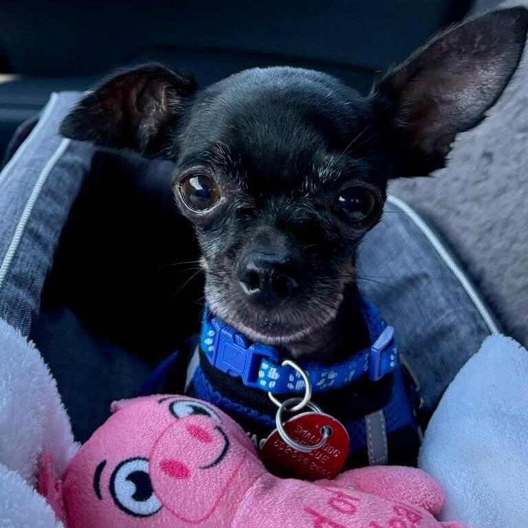 Vader