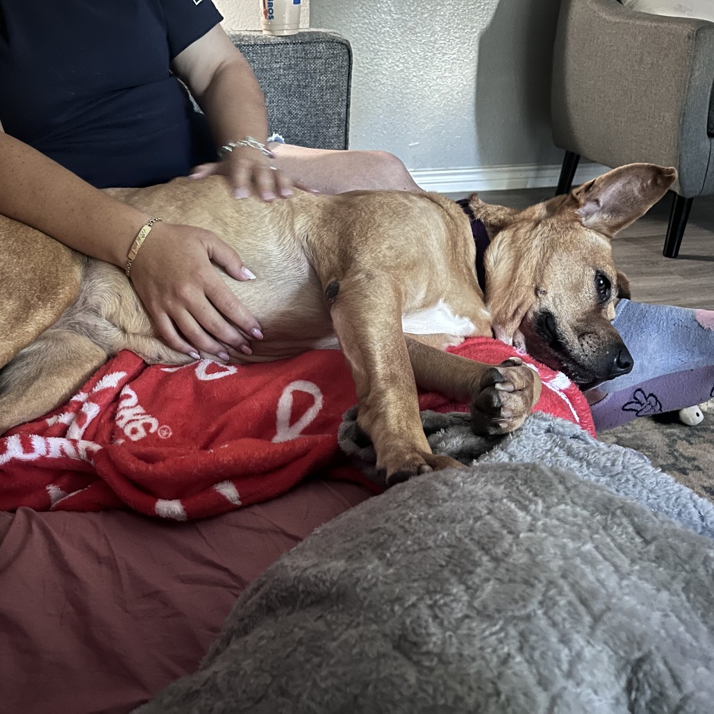 Lilly, photo 32