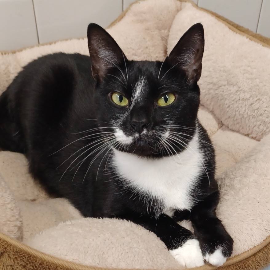 Full body shot of Peta