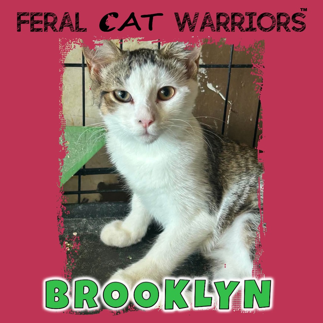 Brooklyn