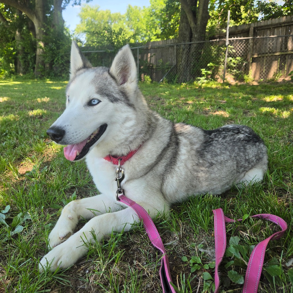 Casper photo 30