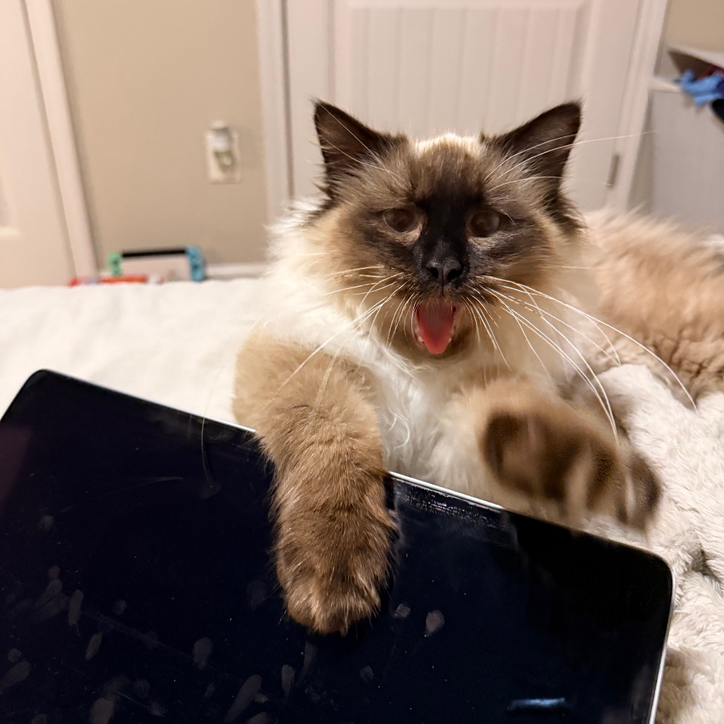 French Toast — thumbnail 4