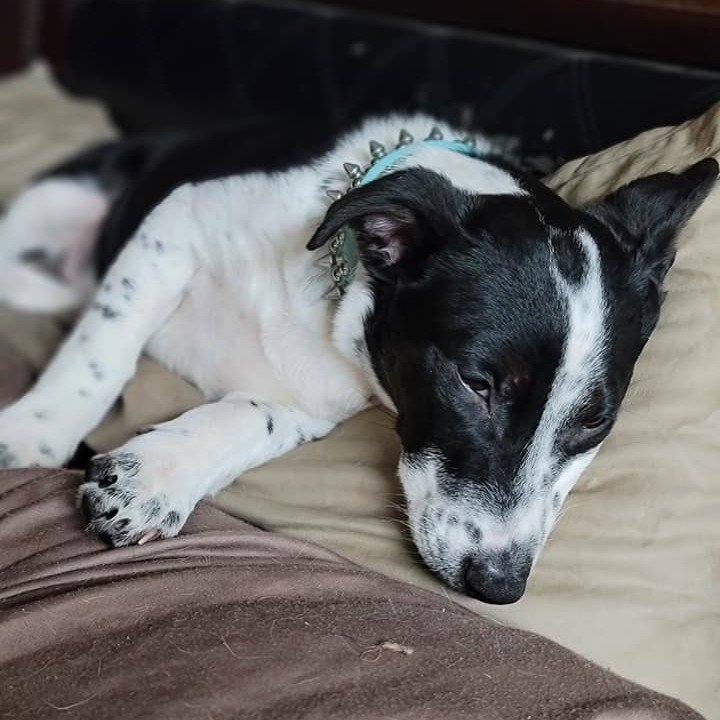 Maze — thumbnail 3