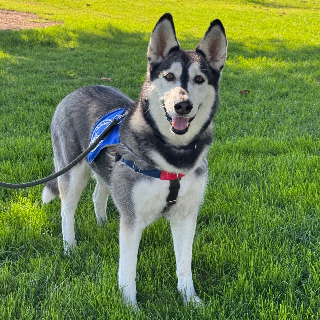 Tundra, photo 19