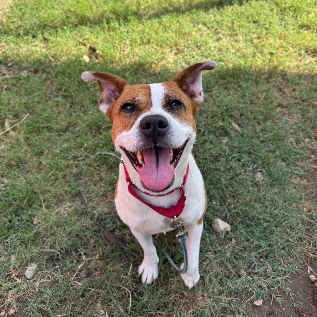 Daisy, additional photo