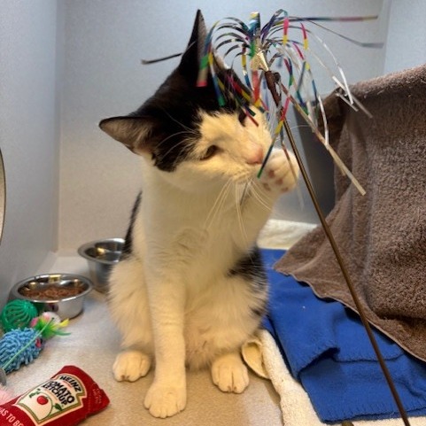 Photo of Huey Lewis 9