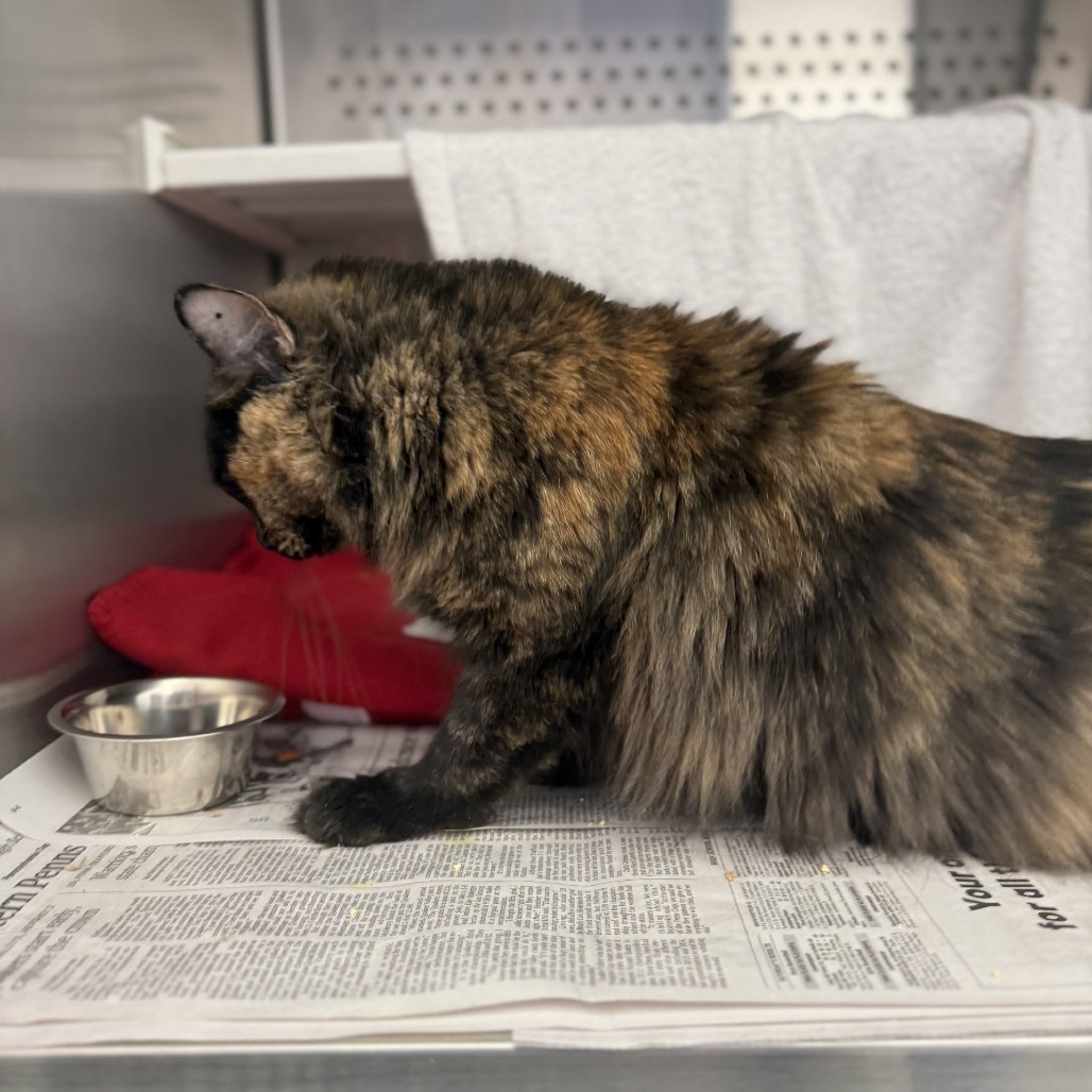 Photo of Laverne Jane 6