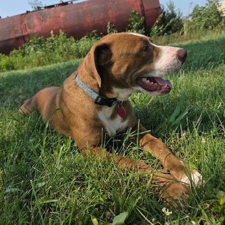 Rocky, photo 16