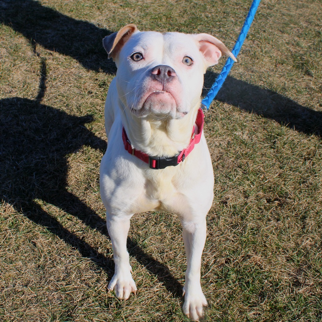 Ruby — thumbnail 2