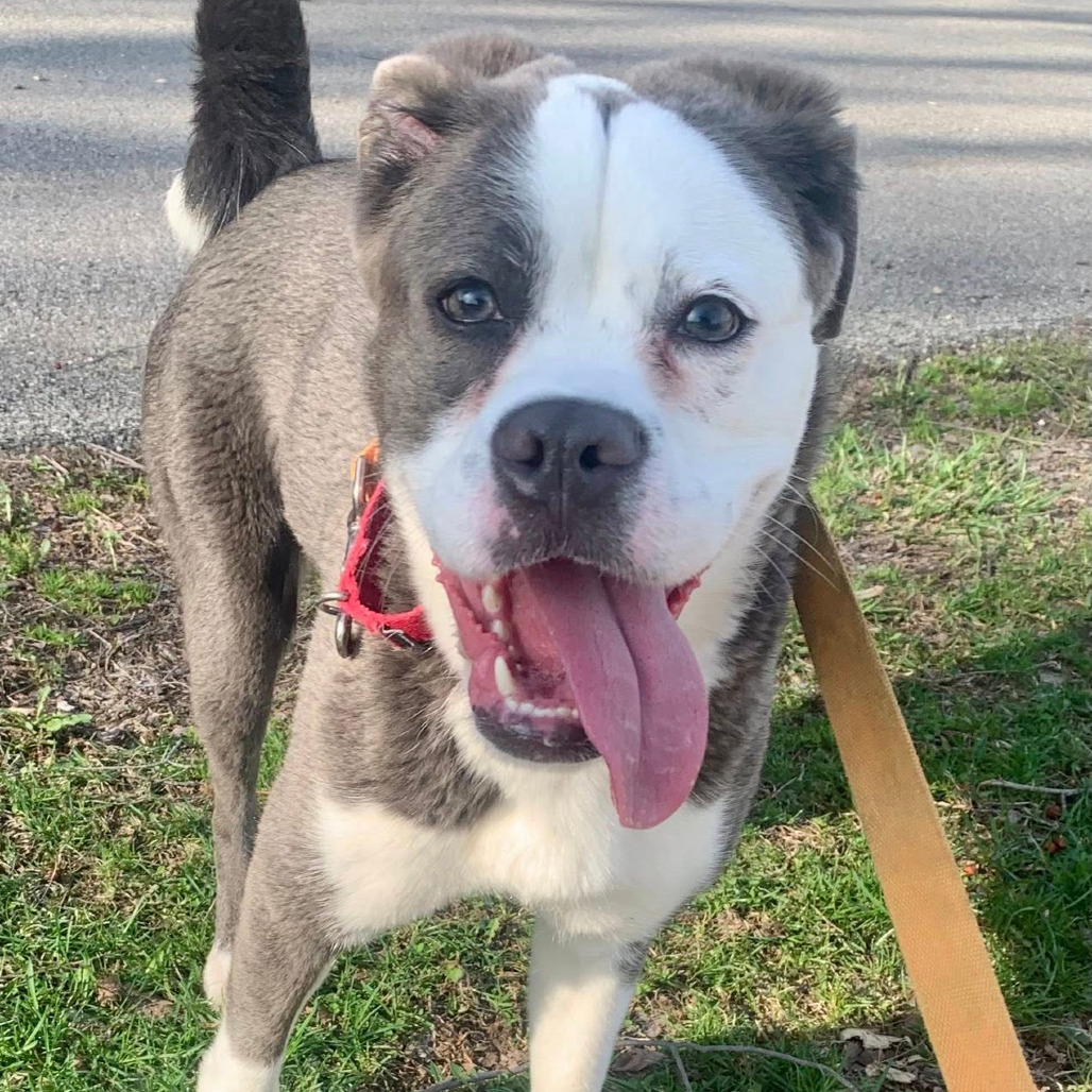 Photo of Sastrugi 10