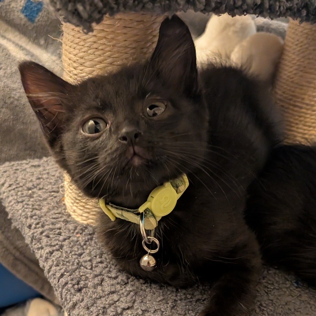 Luigi, photo 2