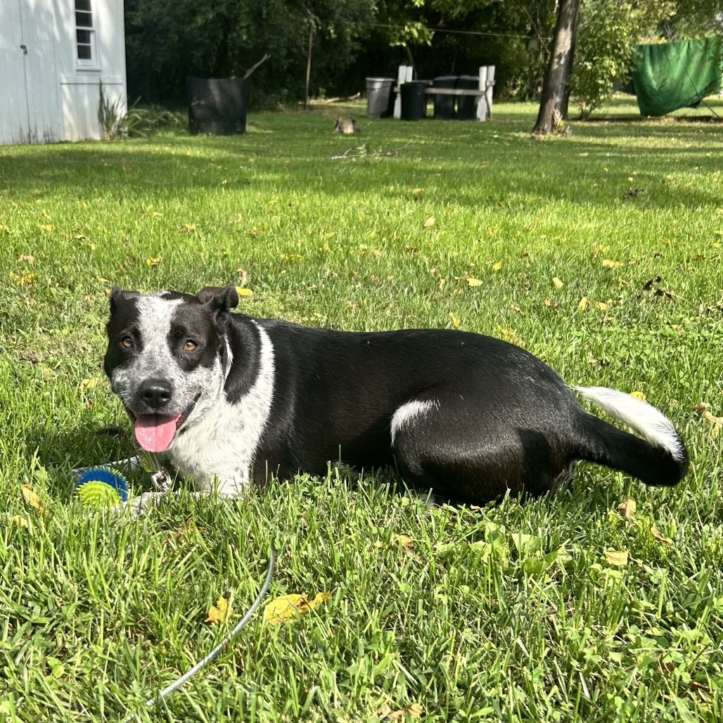 Tracker, photo 21