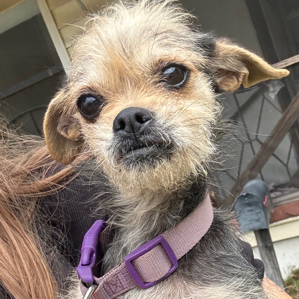 Lulu
