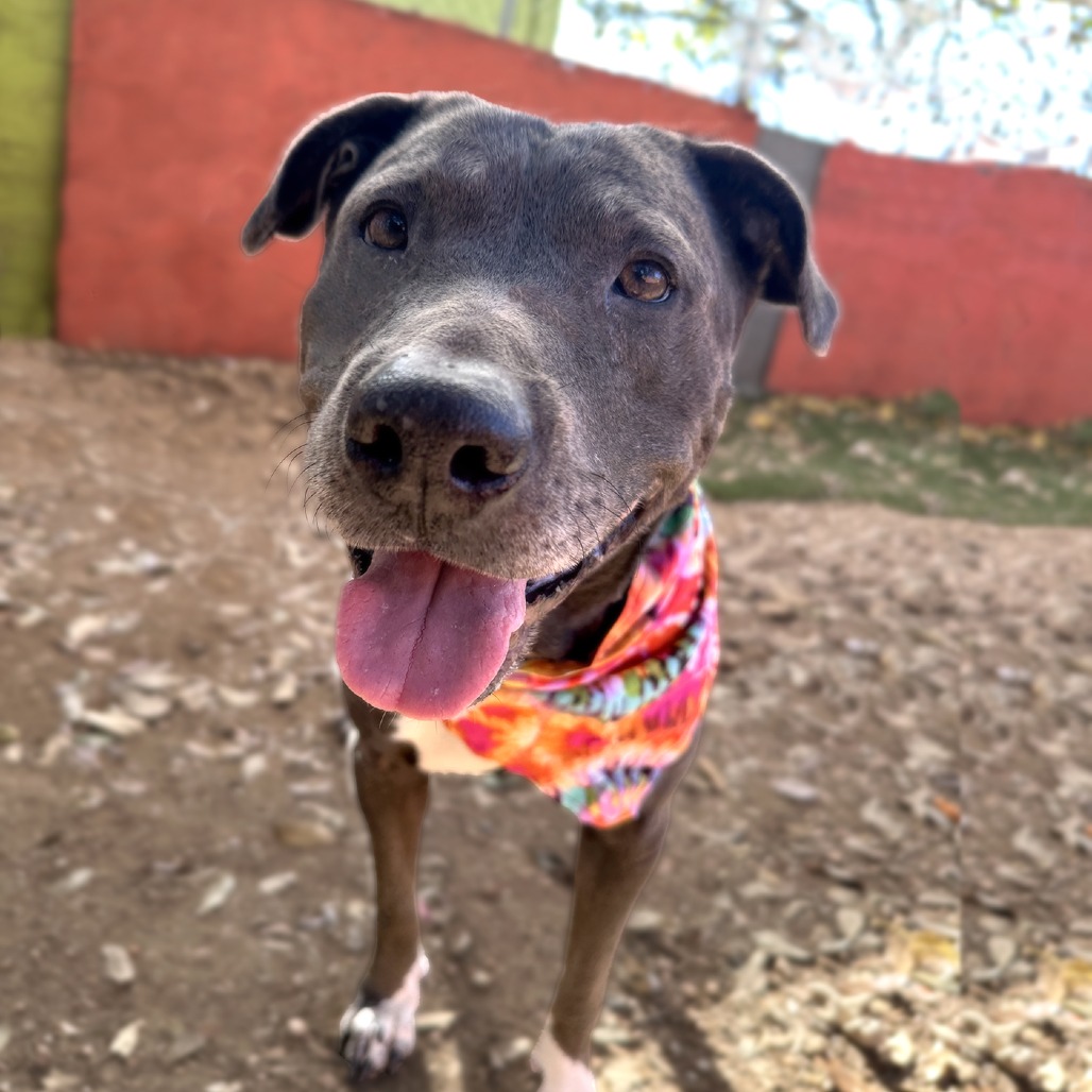 Kiki — thumbnail 11