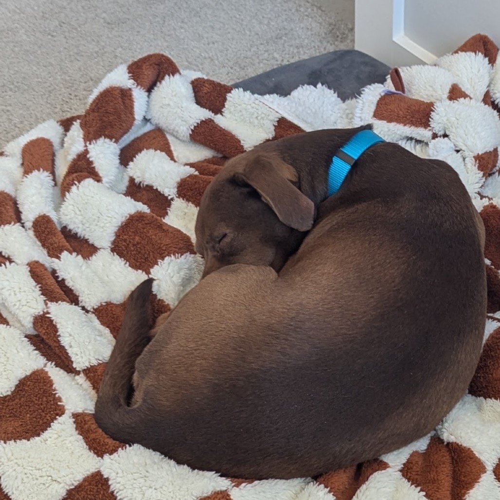 Thatch — thumbnail 5