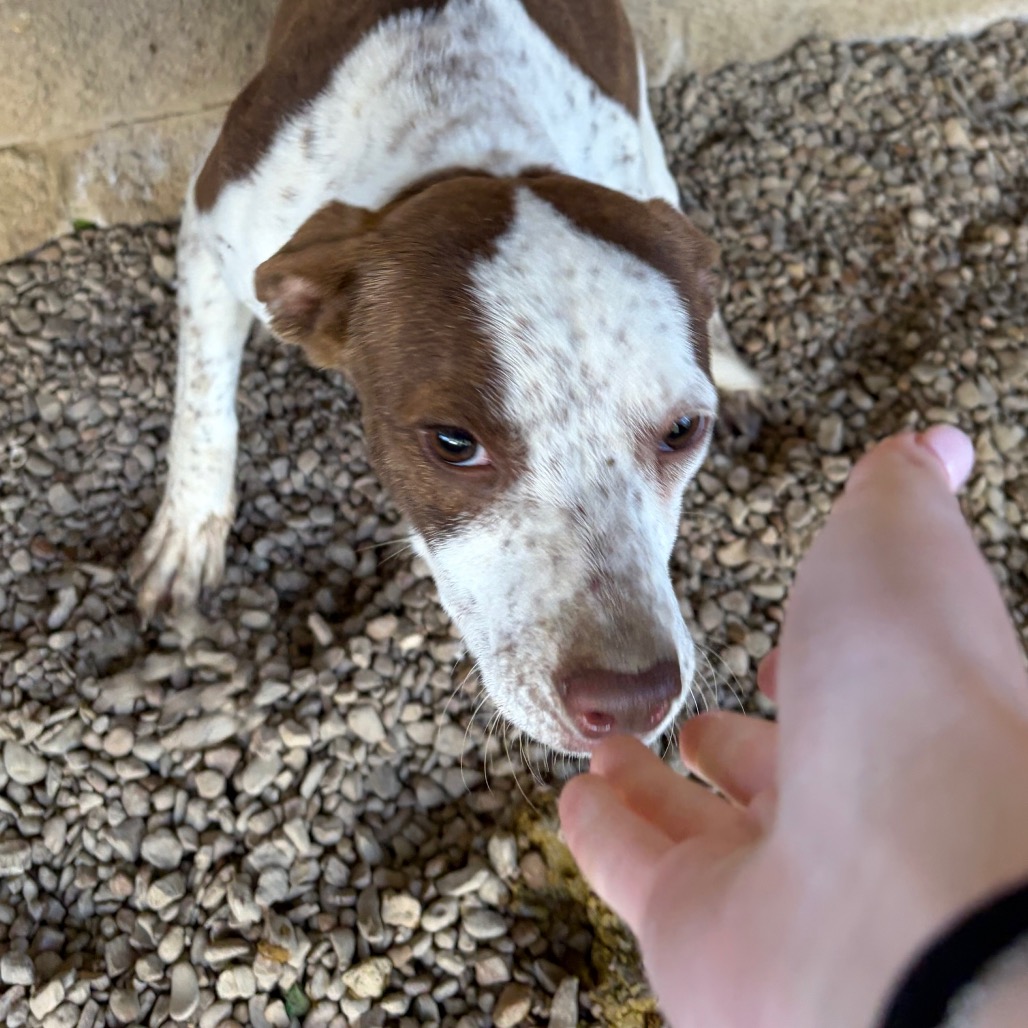 Oprah — thumbnail 2