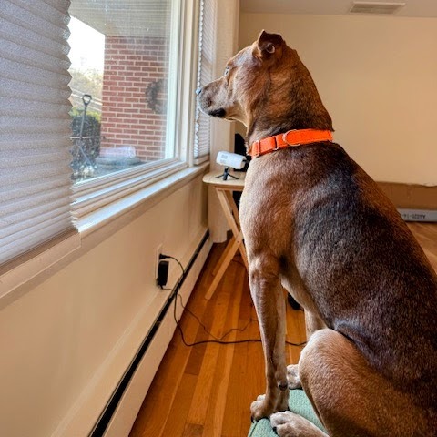 Randy — thumbnail 5