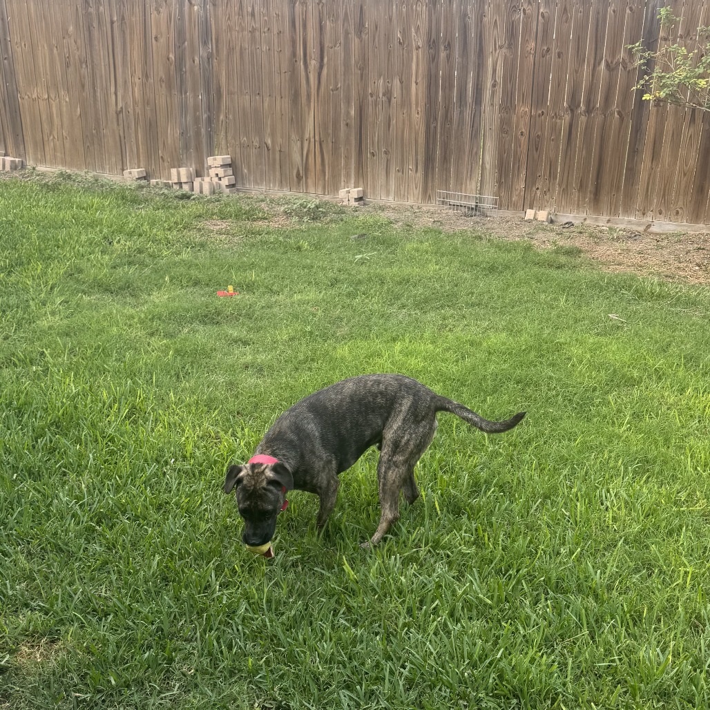 Murph photo 14