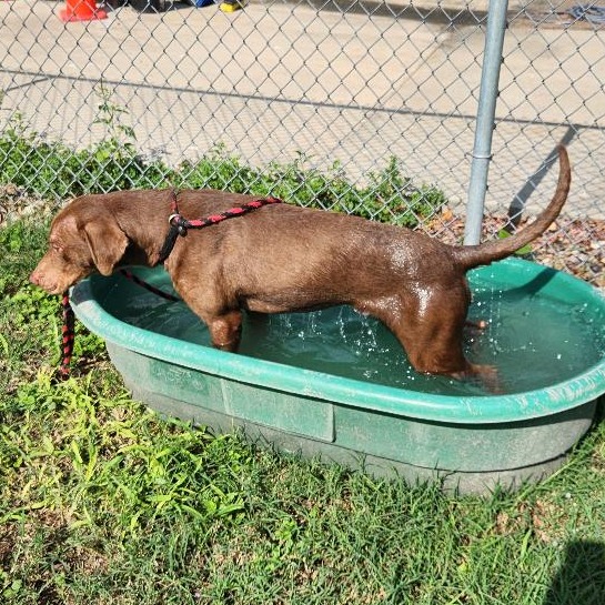 Rusty photo 8