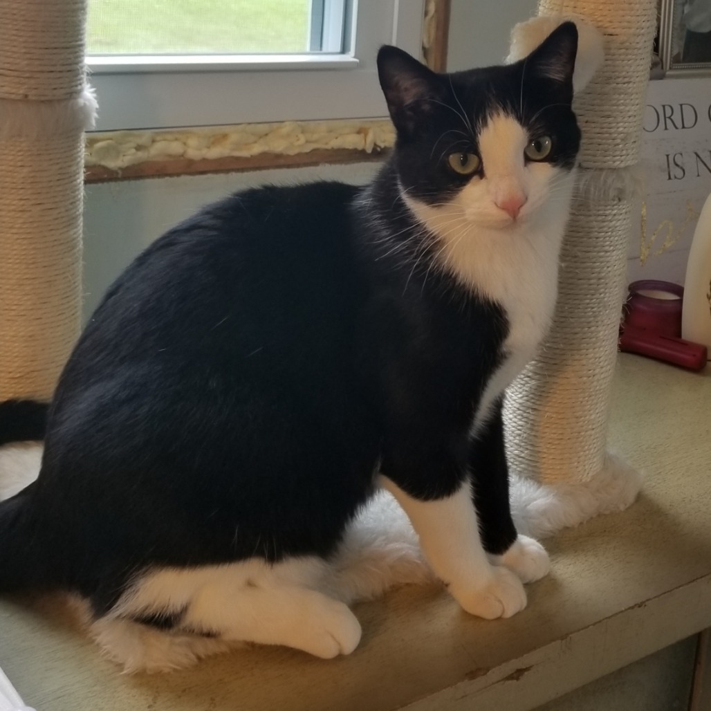 Photo of Rocky