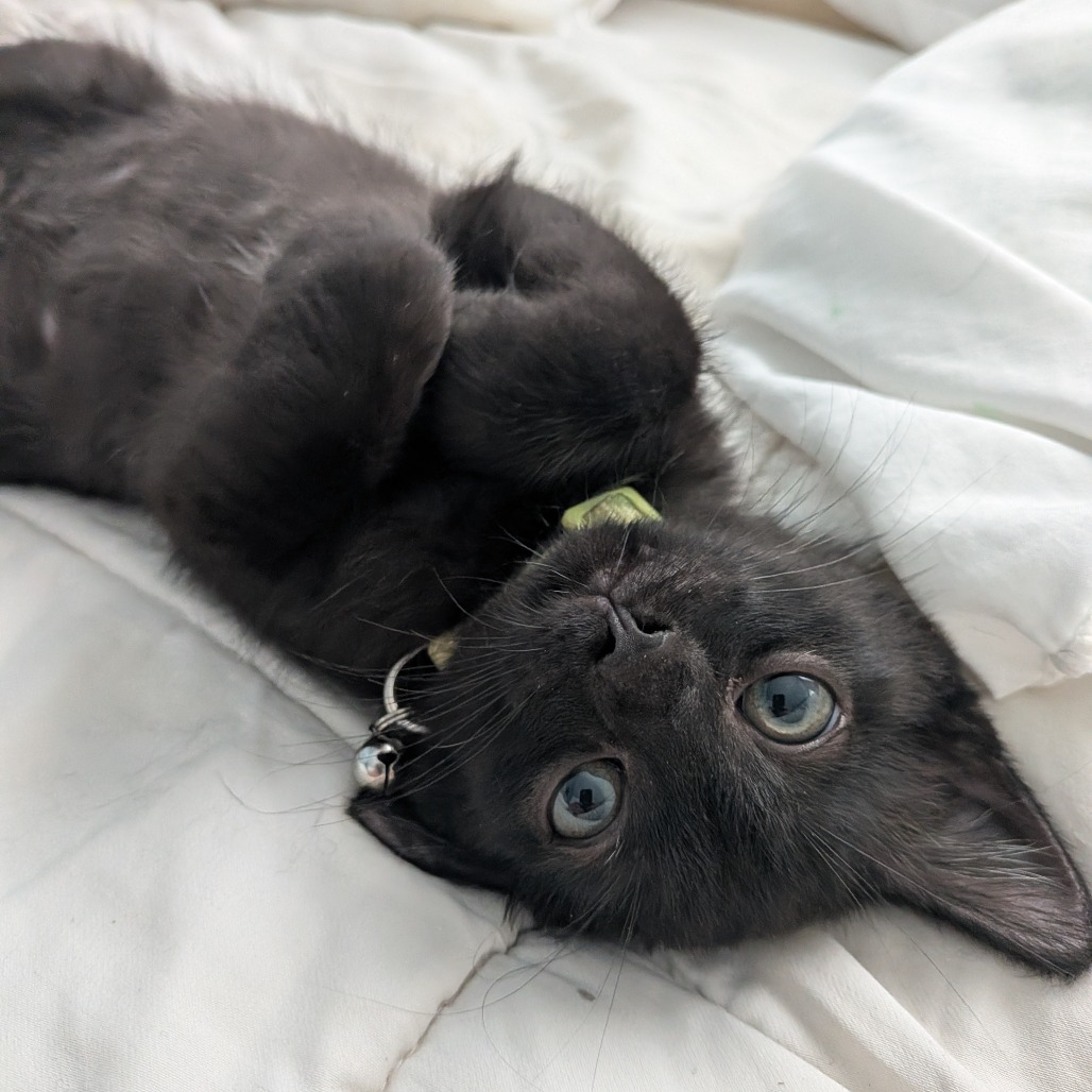 Luigi, photo 4