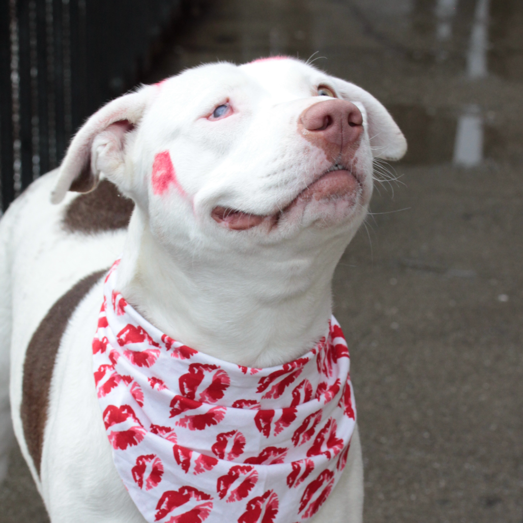 Jodi — thumbnail 3