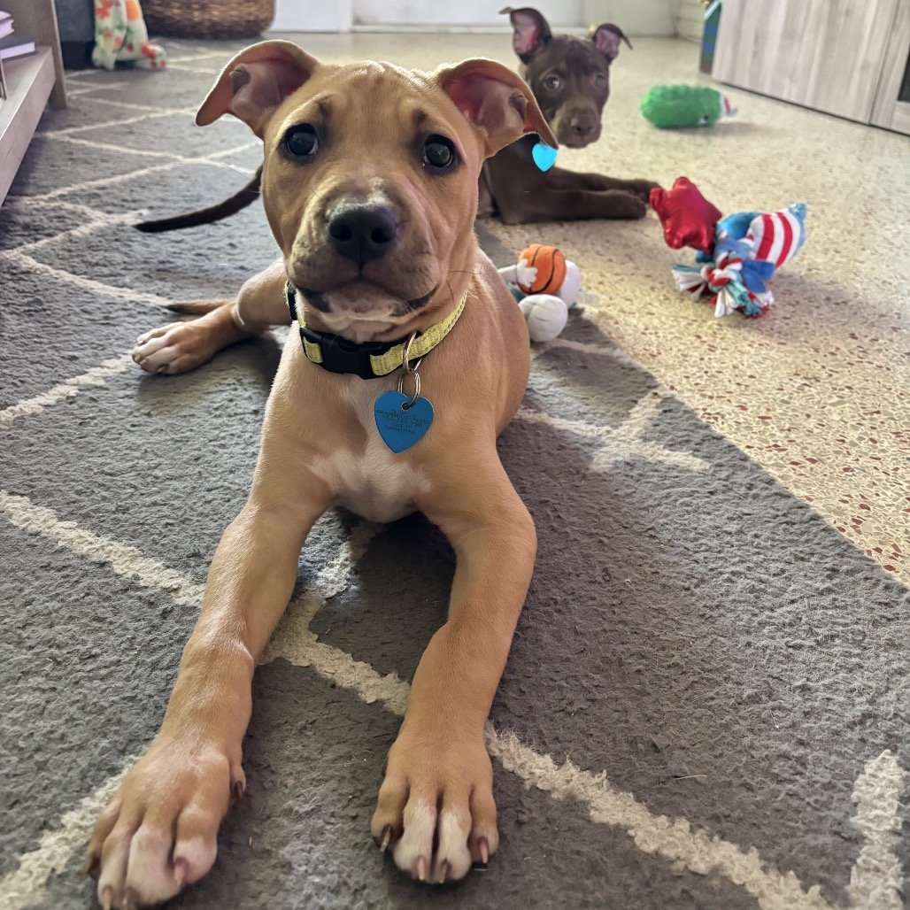 Image of Jolene looking at the camera
