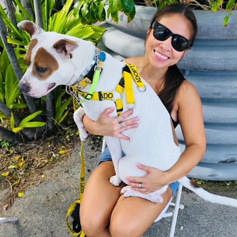 Photo of Mistletoe playing