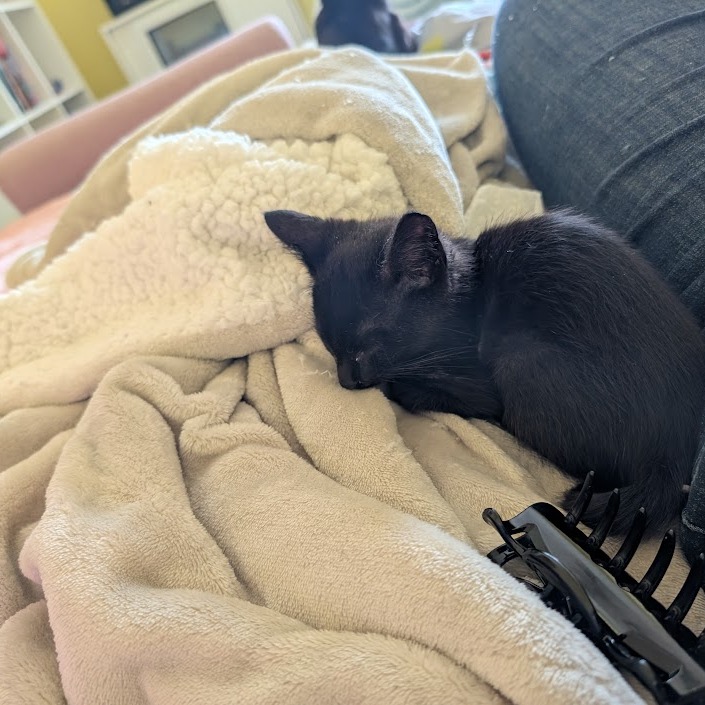 Zumi Zooma 16 — thumbnail 10