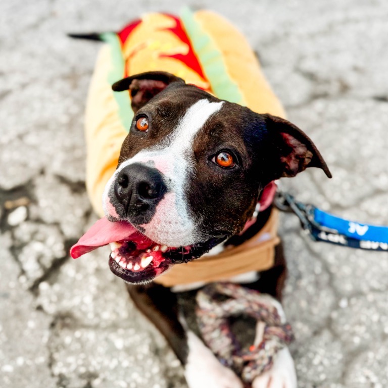 Full body shot of Emelia