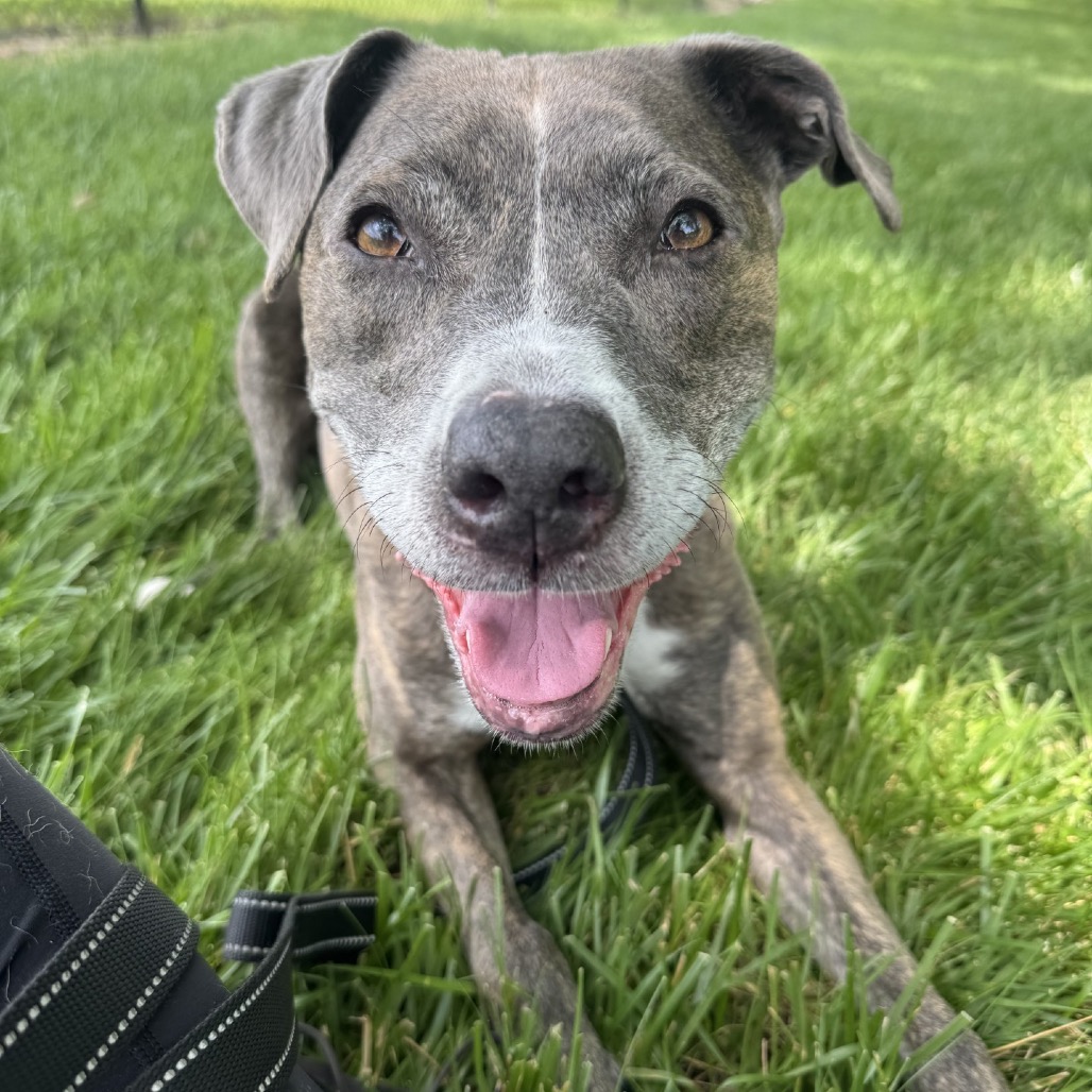Luna may