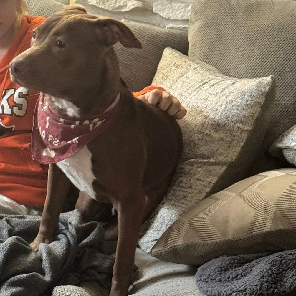 Photo of Starcraft 18