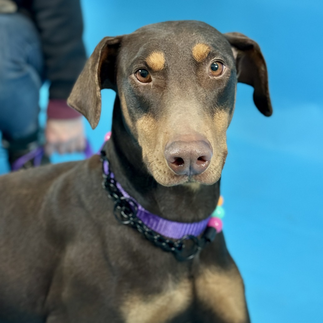 Riley — thumbnail 2