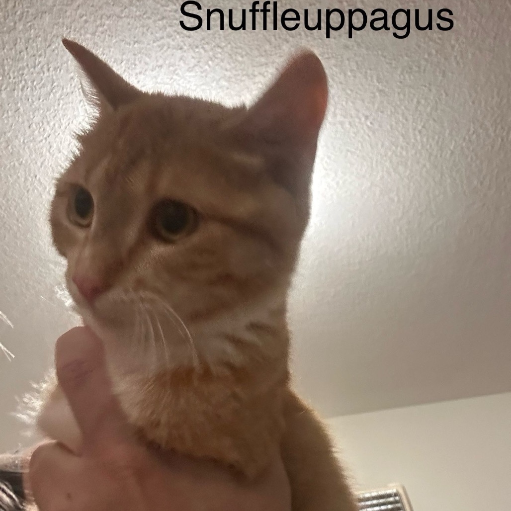 12465