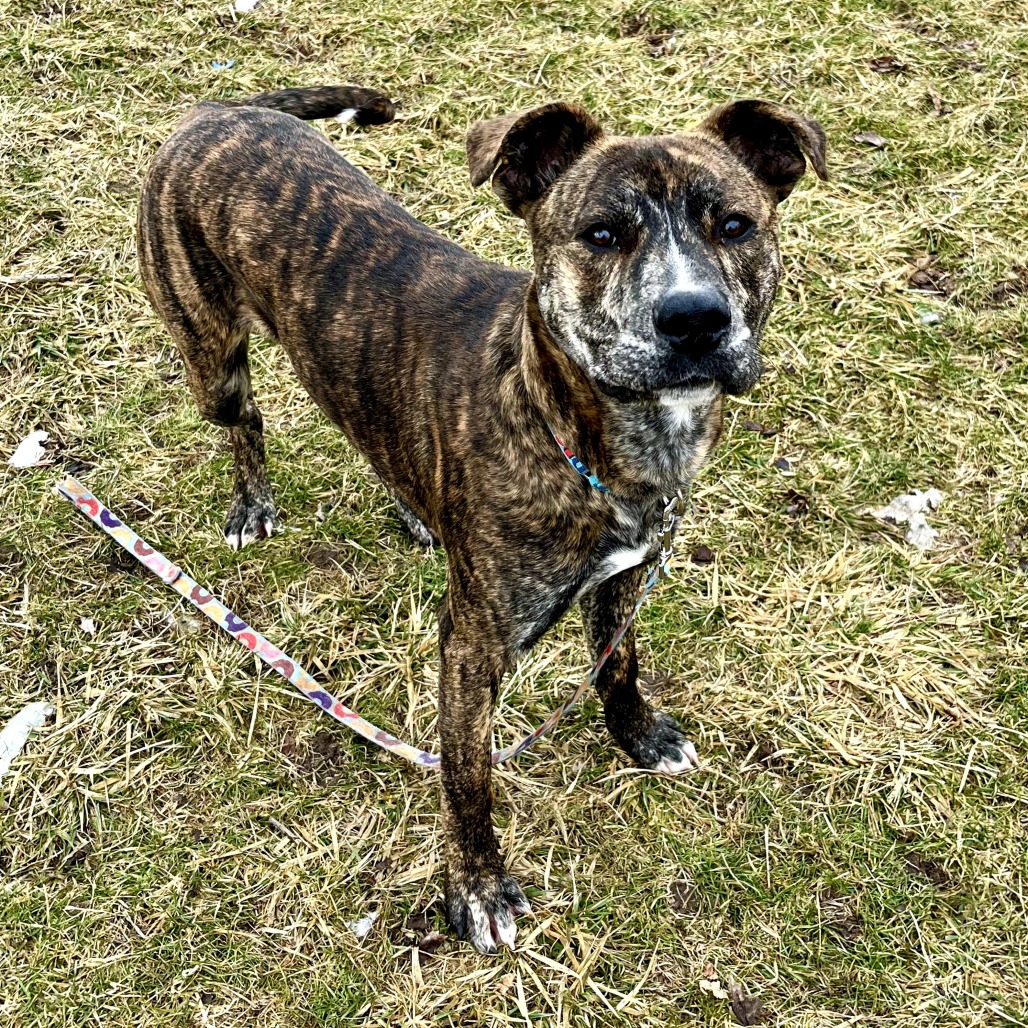 Lucky — thumbnail 9