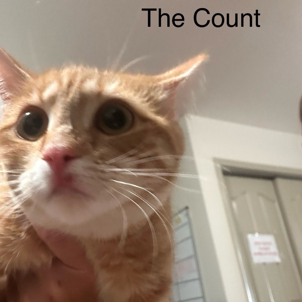 12464