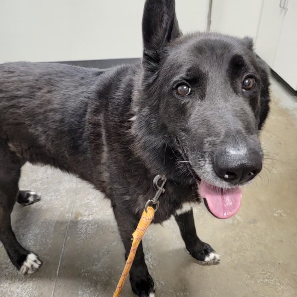 Otis, additional photo