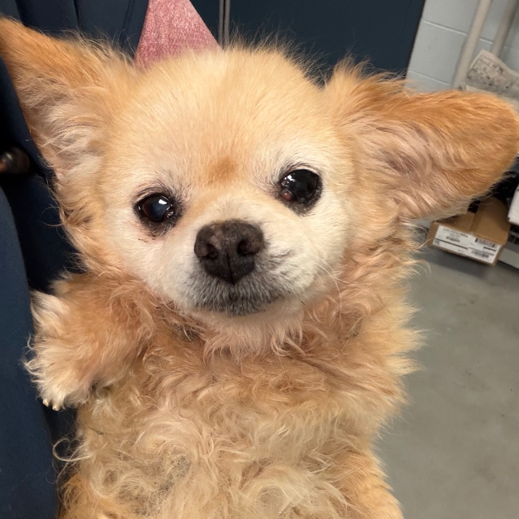 Alicia — thumbnail 4