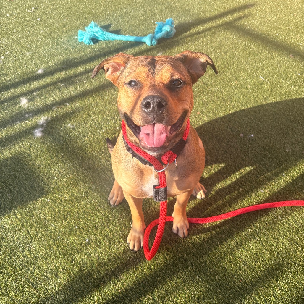 Cassie — thumbnail 4