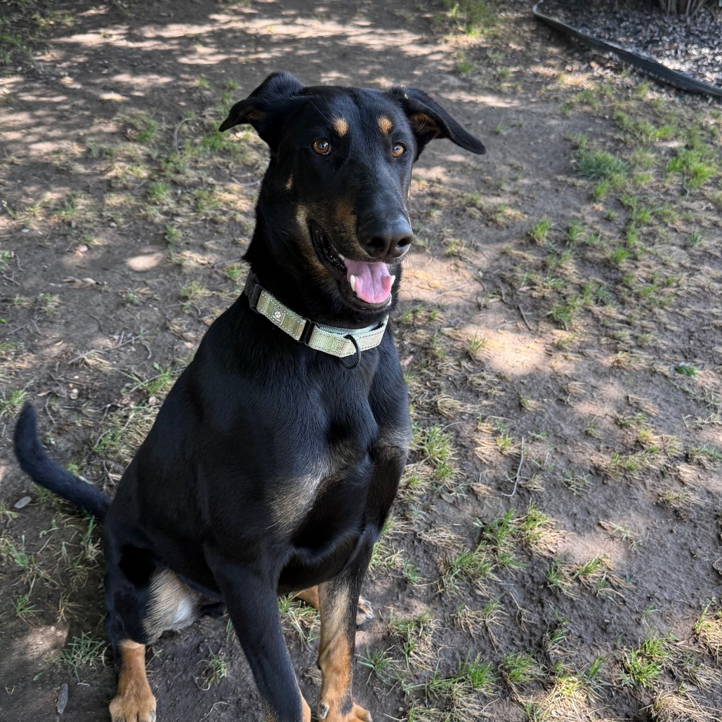 Felix, photo 27