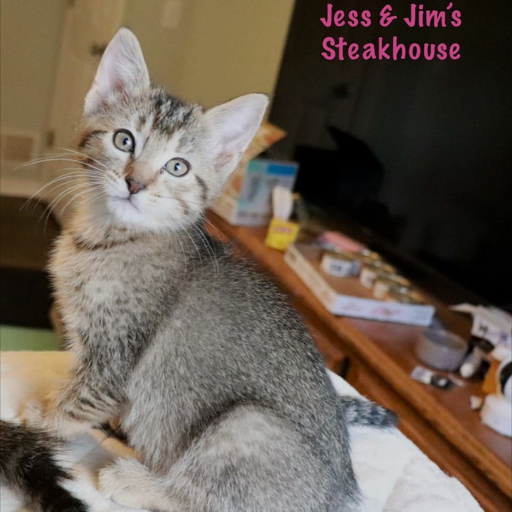 Jess & Jim's Steakhouse, photo 3