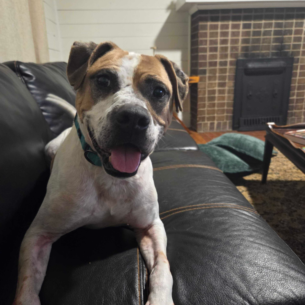 Sammy — thumbnail 5