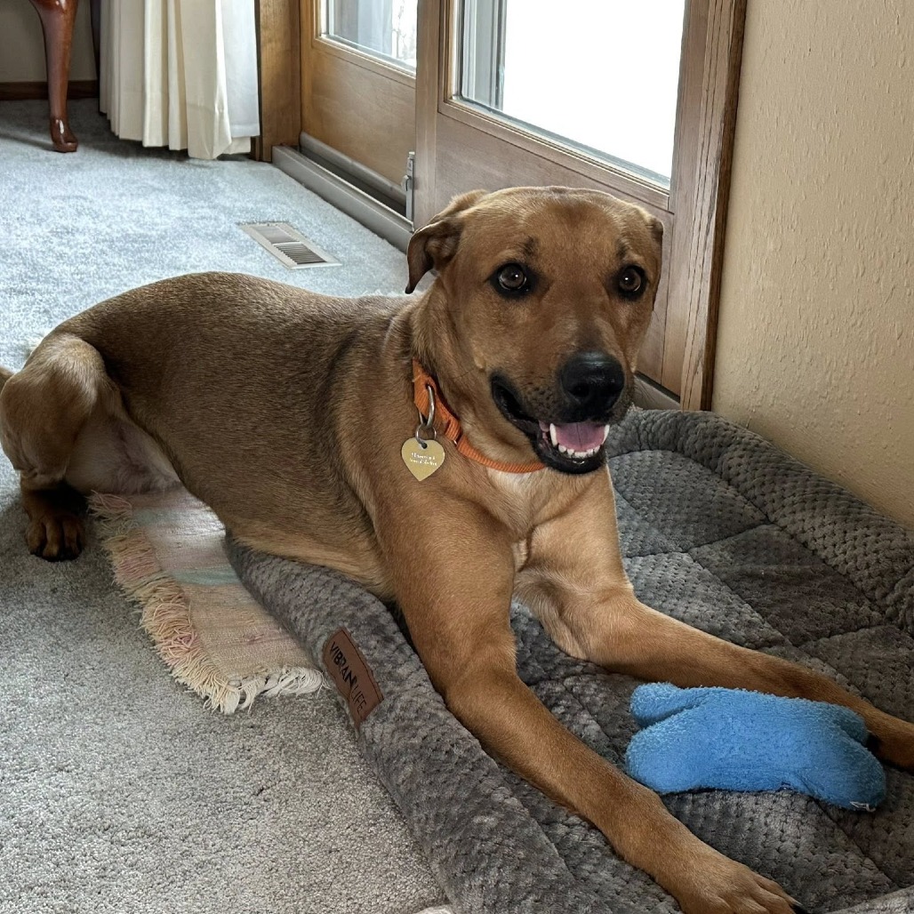 Solana -- In Foster, photo 9